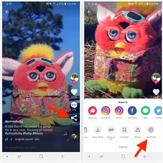 ترفند های برنامه تیک تاک (Tik Tok)